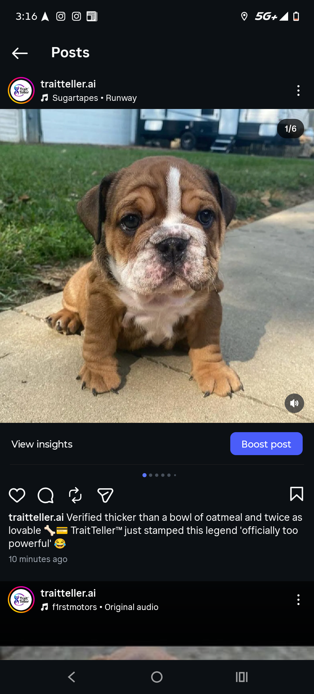 TraitTeller™ — AI Pet Passport License (Apply For Businesses)